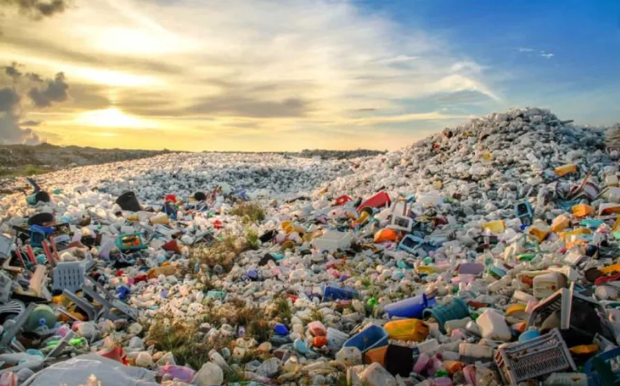 Atık İstatistikleri, 2024