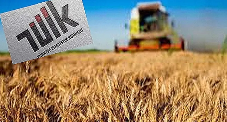 Tarım Ürünleri Üretici Fiyat Endeksi, Ekim 2025