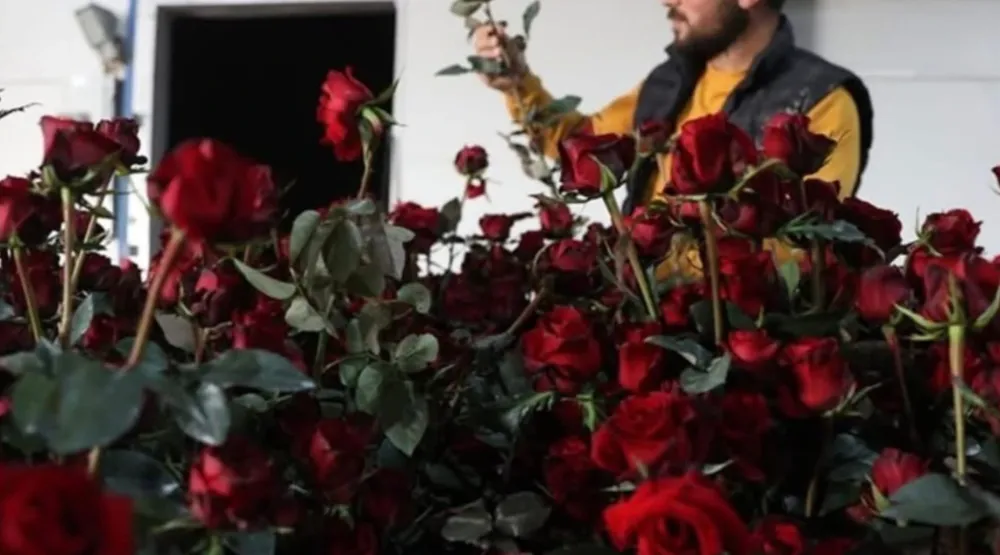 Elmalı Yaylası’nda Gül serasıyla tarımda yeni dönem