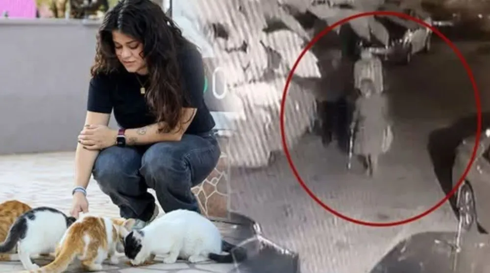 Antalya’da kediye bastonla saldırı iddiası