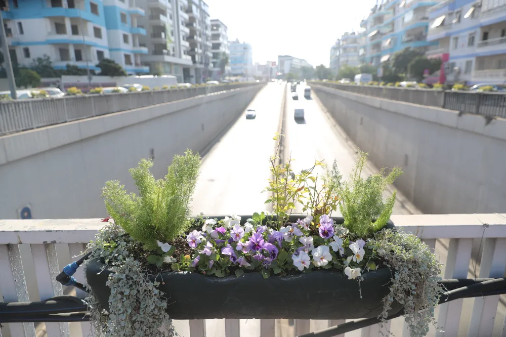 Antalya’da 4 milyon çiçek toprakla buluşuyor