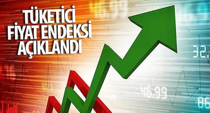 Tüketici Fiyat Endeksi, Kasım 2025