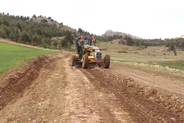 Yuvalılar istedi Böcek talimat verdi